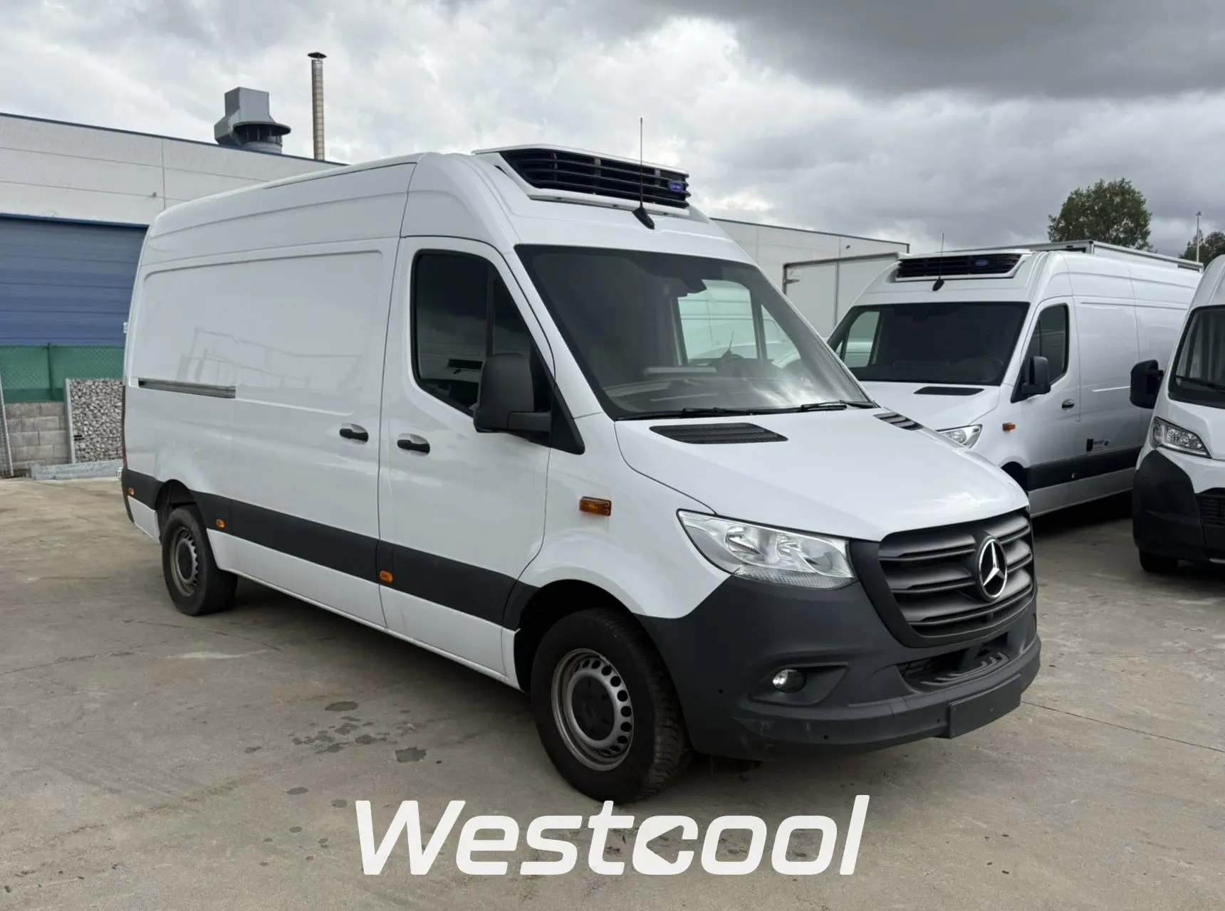 sprinter