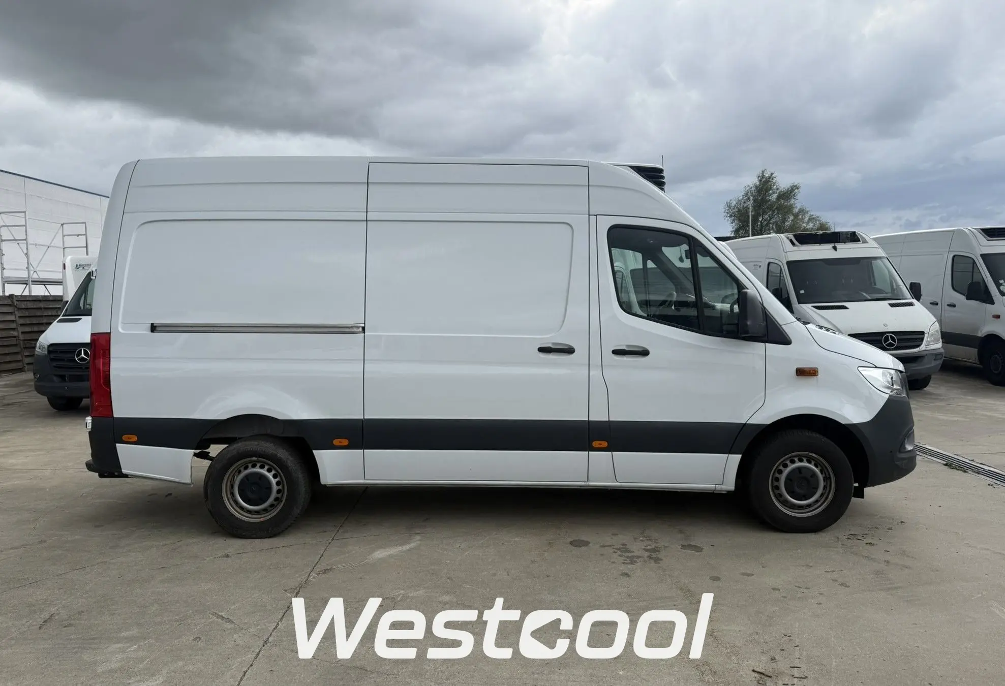 sprinter