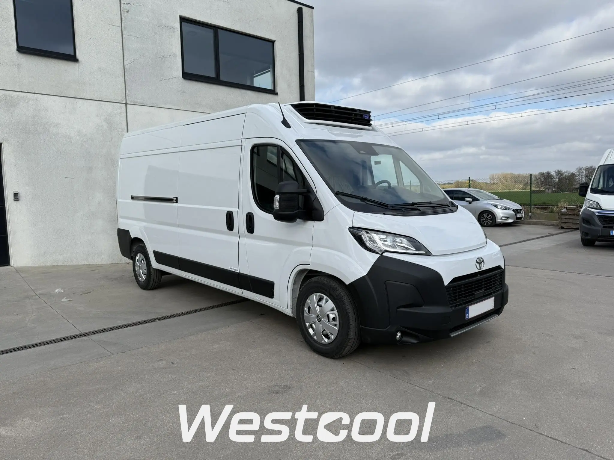 proace max